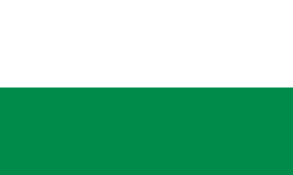 VONFAHNE Sachsen ohne Wappen